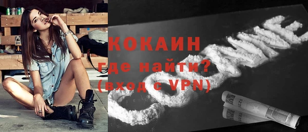 стаф Абинск
