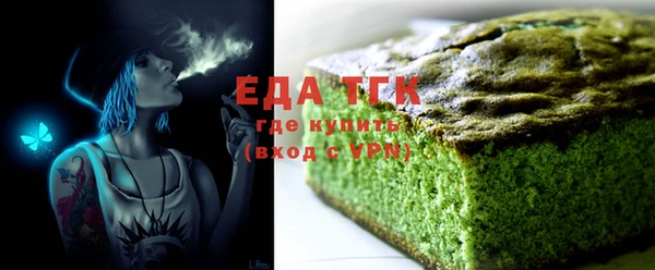 шишки Няндома