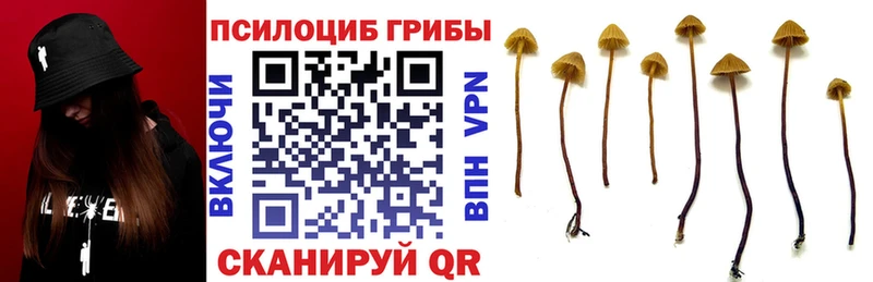 Псилоцибиновые грибы мухоморы  Ялта 