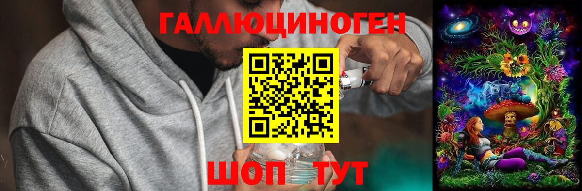 Галлюциногенные грибы Psilocybe Ялта